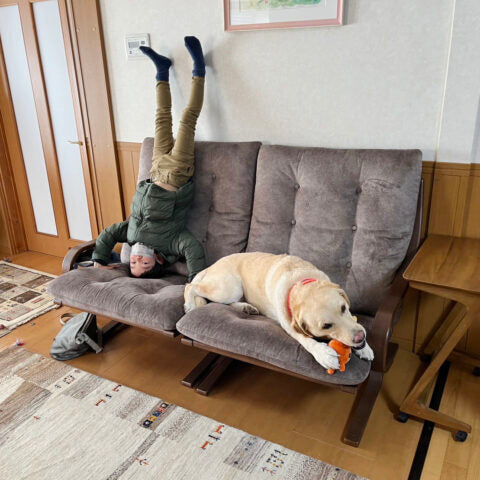 納品事例 福山市 I様邸 ギャッベ ソファ