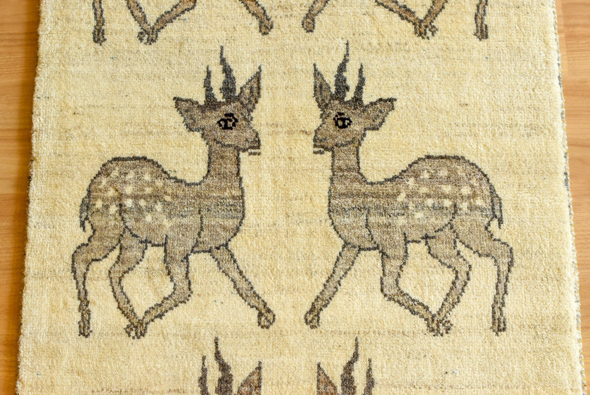 ギャッベ イラン産 <br>玄関マットサイズ<br>サイズ:約77×135<br>【商品番号:22121】