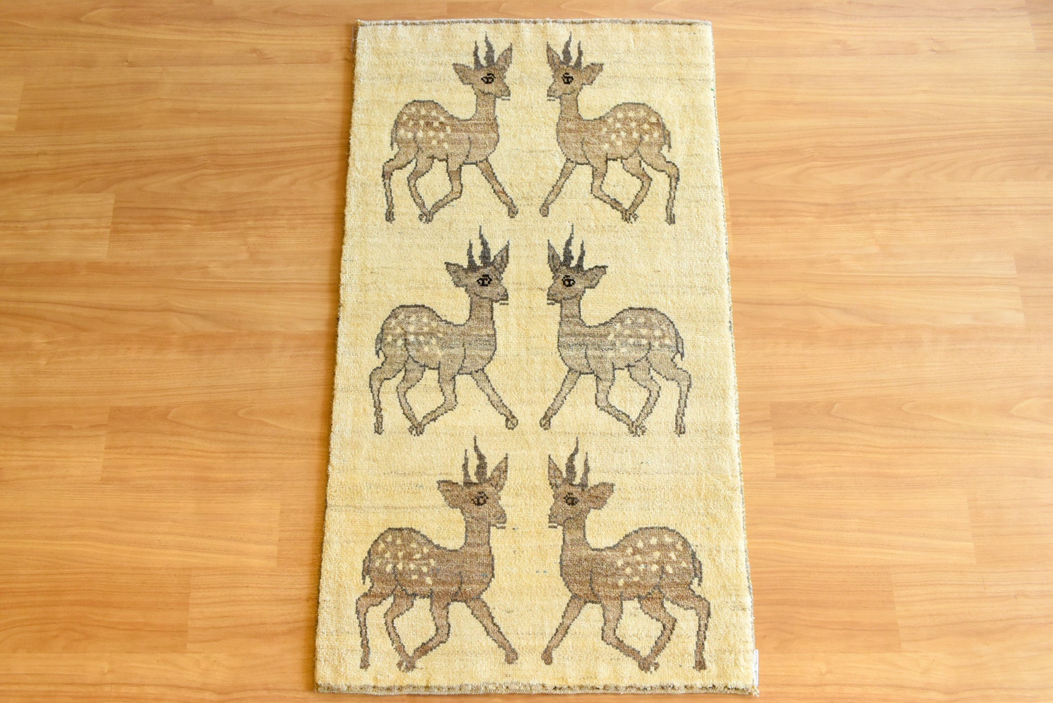 ギャッベ　イラン産 <br>玄関マットサイズ<br>ｻｲｽﾞ:約７７×１３５<br>【商品番号：22121】